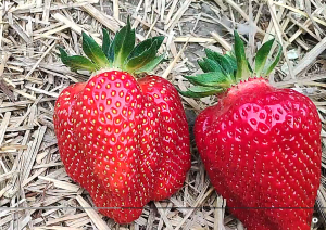 Снимок экрана 2026-02-27 203314.png