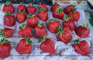 Снимок экрана 2026-02-27 203431.png