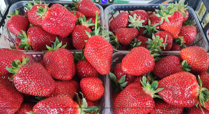 Снимок экрана 2026-02-27 203415.png