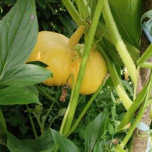 IMG-20240727-WA0003 (2).jpeg