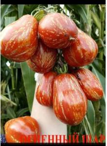 огненый шар.jpg