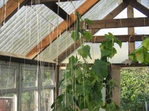 1980-01-01 00-00-32 (5).JPG