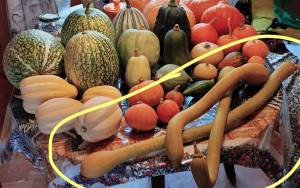 IMG_20241006_113032 (4)_LI.jpg