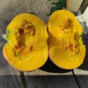 IMG-20240831-WA0018 (2).jpg