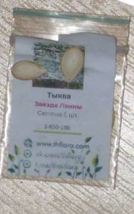 Семена-тыквы.jpg