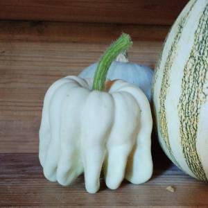 IMG-20250912-WA0004 (2).jpeg