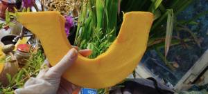 photo_2025-10-04_19-34-12 (2).jpg