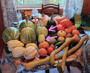 IMG_20241006_113032 (2)_LI.jpg