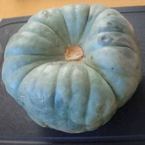 photo_2026-01-31_15-26-56 (2).jpg