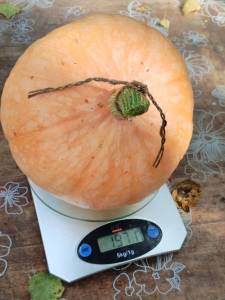 IMG_20250811_143235 (2).jpg