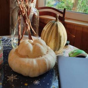 IMG_20250523_190659 (2).jpg