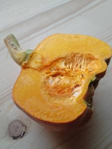 IMG_20241005_115718 (2).jpg