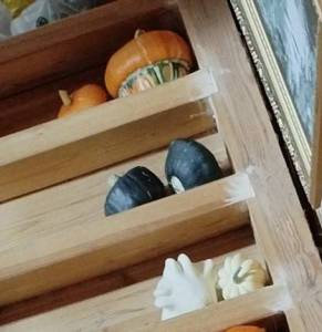 photo_2025-09-11_18-44-27 (2).jpg