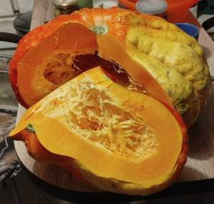 IMG_20240926_195052 (2).jpg