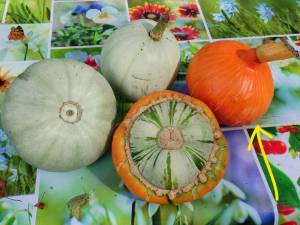 photo_2025-08-25_14-56-40 (2)_LI.jpg