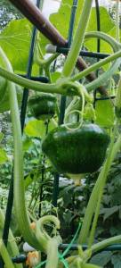 photo_2025-08-06_17-05-49 (2).jpg