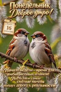 понедельник доброе утро.jpg