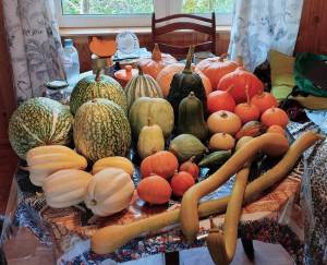 IMG_20241006_113032 (2).jpg