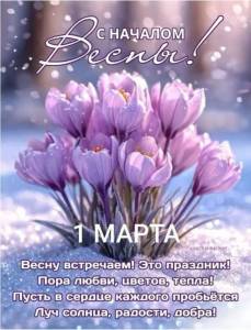 Screenshot_20260301_064633_Yandex Browser.jpg