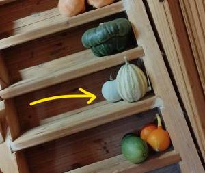 photo_2025-09-11_18-44-27 (2)_LI.jpg