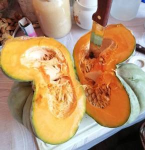 photo_2025-07-10_12-21-07 (2).jpg