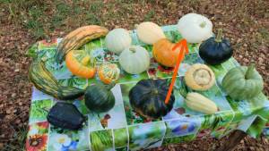 photo_2025-09-21_20-22-34_LI (2).jpg