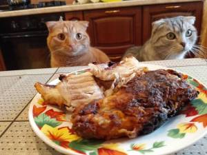 1743136686465 (1).jpg