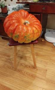 IMG-20240922-WA0031 (2).jpeg