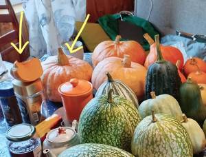 IMG_20241006_113059 (2)_LI.jpg