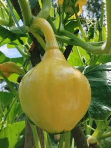 IMG_20240720_114722 (2).jpg