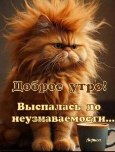 Доброе утро 4 12.03.jpg