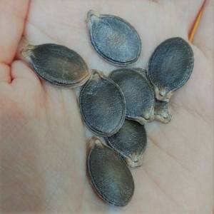 photo_2026-03-06_17-58-03 (2).jpg