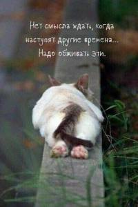 f763721daa340995e3e3f41e0a8a0af2 (1).jpg