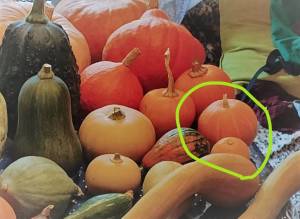 IMG_20241006_113032 (5)_LI.jpg