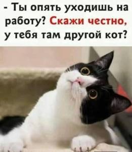 Доброе утро 0303.jpg