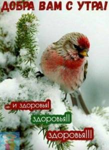 открытка_добра_вам_с_утра_и_здоровья.jpg