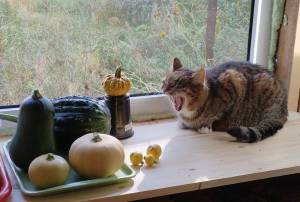 IMG_20240921_145021 (2).jpg