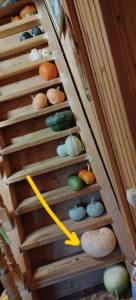 photo_2025-09-11_18-44-27_LI (2).jpg