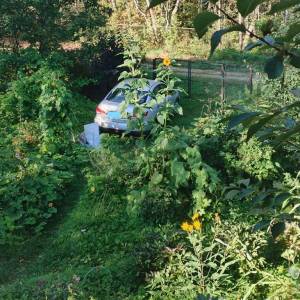 IMG_20250905_082417 (2)_LI.jpg