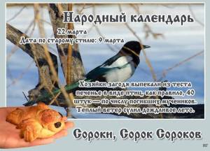 сорок сороков.jpg