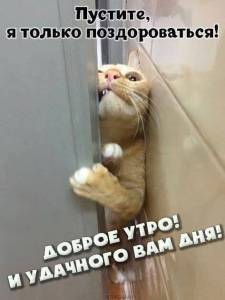 Доброе утро 27.02.jpg