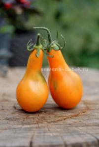 Снимок экрана 2026-03-13 в 13.46.08.png