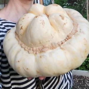 IMG_20250522_201340 (2).jpg