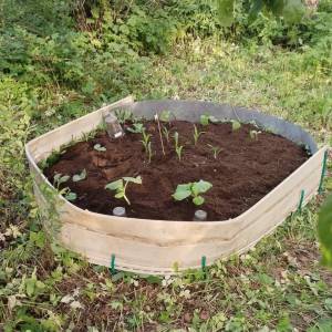 IMG-20250529-WA0045 (2).jpeg