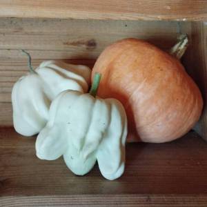 IMG-20250912-WA0010 (2).jpeg