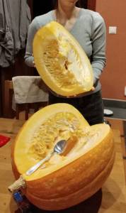 IMG_20241212_220846 (2).jpg