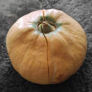 IMG-20240831-WA0013 (2).jpg