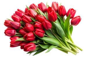 beautiful-bouquet-of-flowers-isolated-on-transparent-background-free-png.thumb.png.67a23a97cd6dfe4d18862ca97fc463b0.png