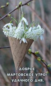 dobroe-utro-kartinki_ru_11822.jpg