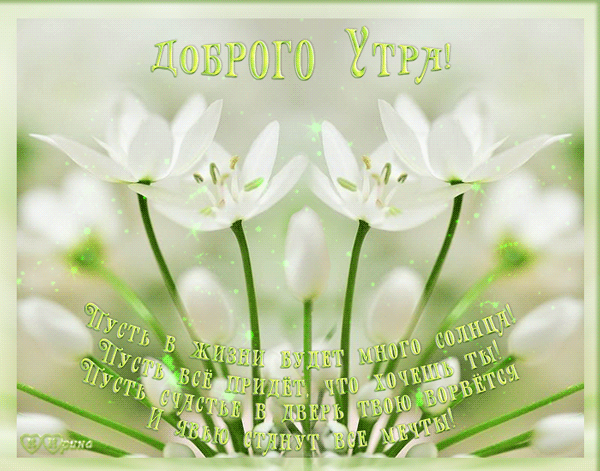gifki-i-kartinki-vesennee-utro-1.gif